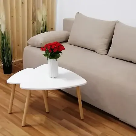 Apartmán Casa Yarinn Brašov